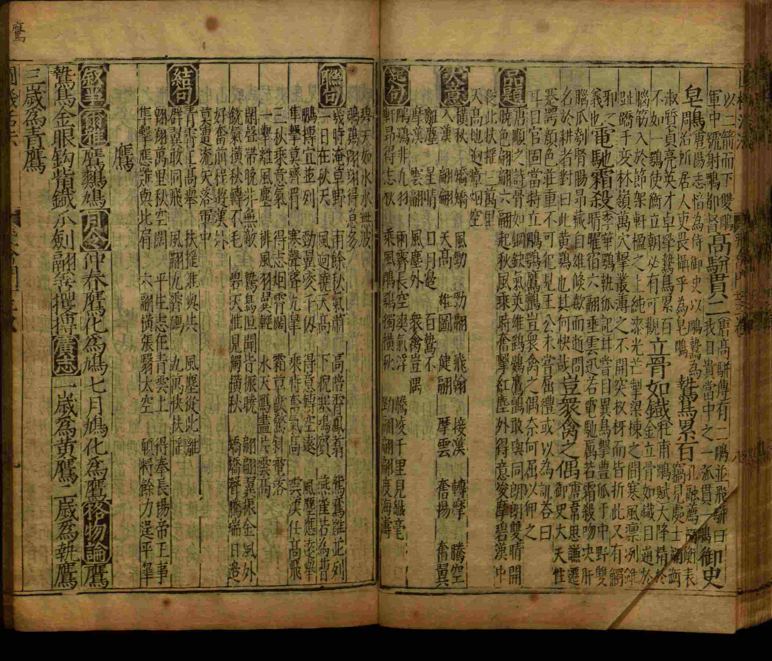 语文老师推荐的语文字帖电子版九年级是什么字帖啊