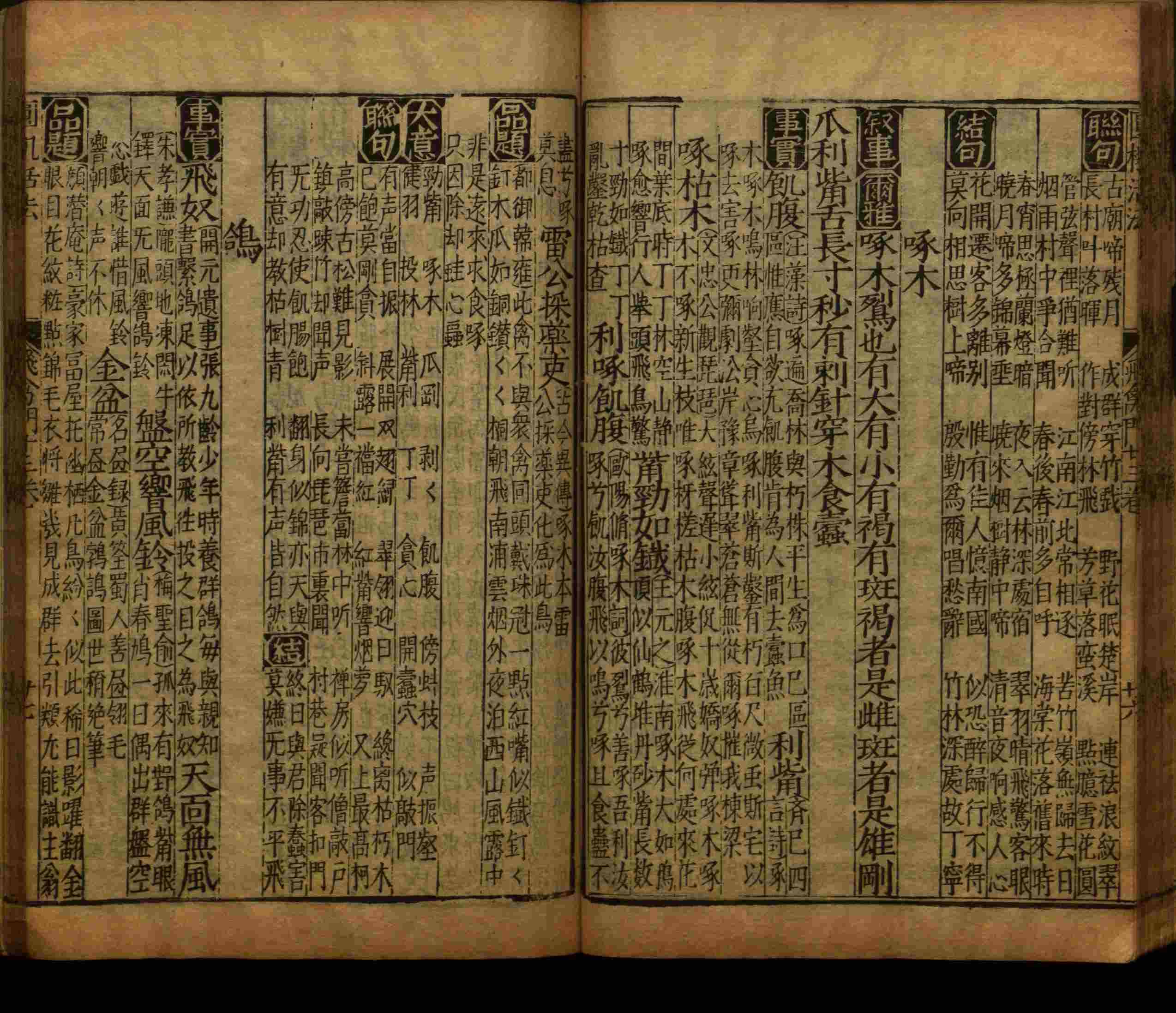 语文老师推荐的语文字帖电子版九年级是什么字帖啊