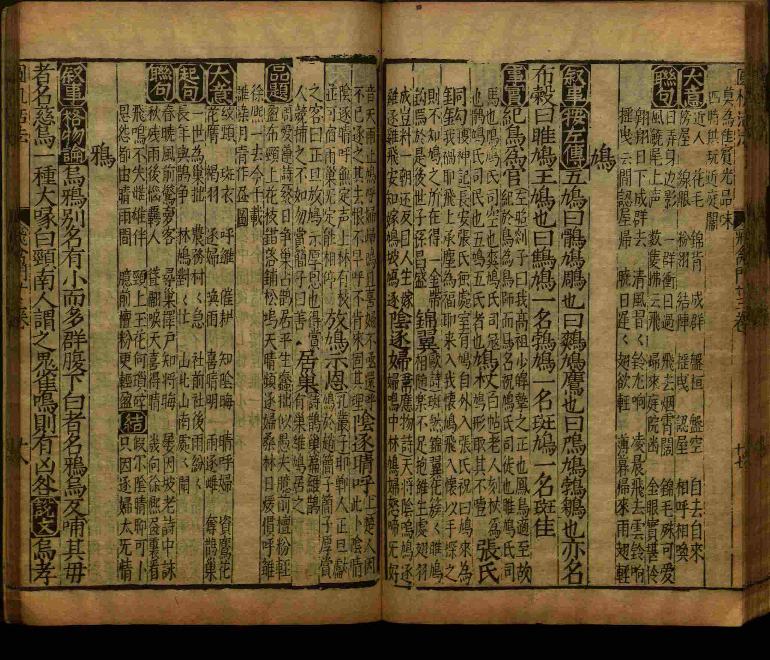 语文老师推荐的语文字帖电子版九年级是什么字帖啊
