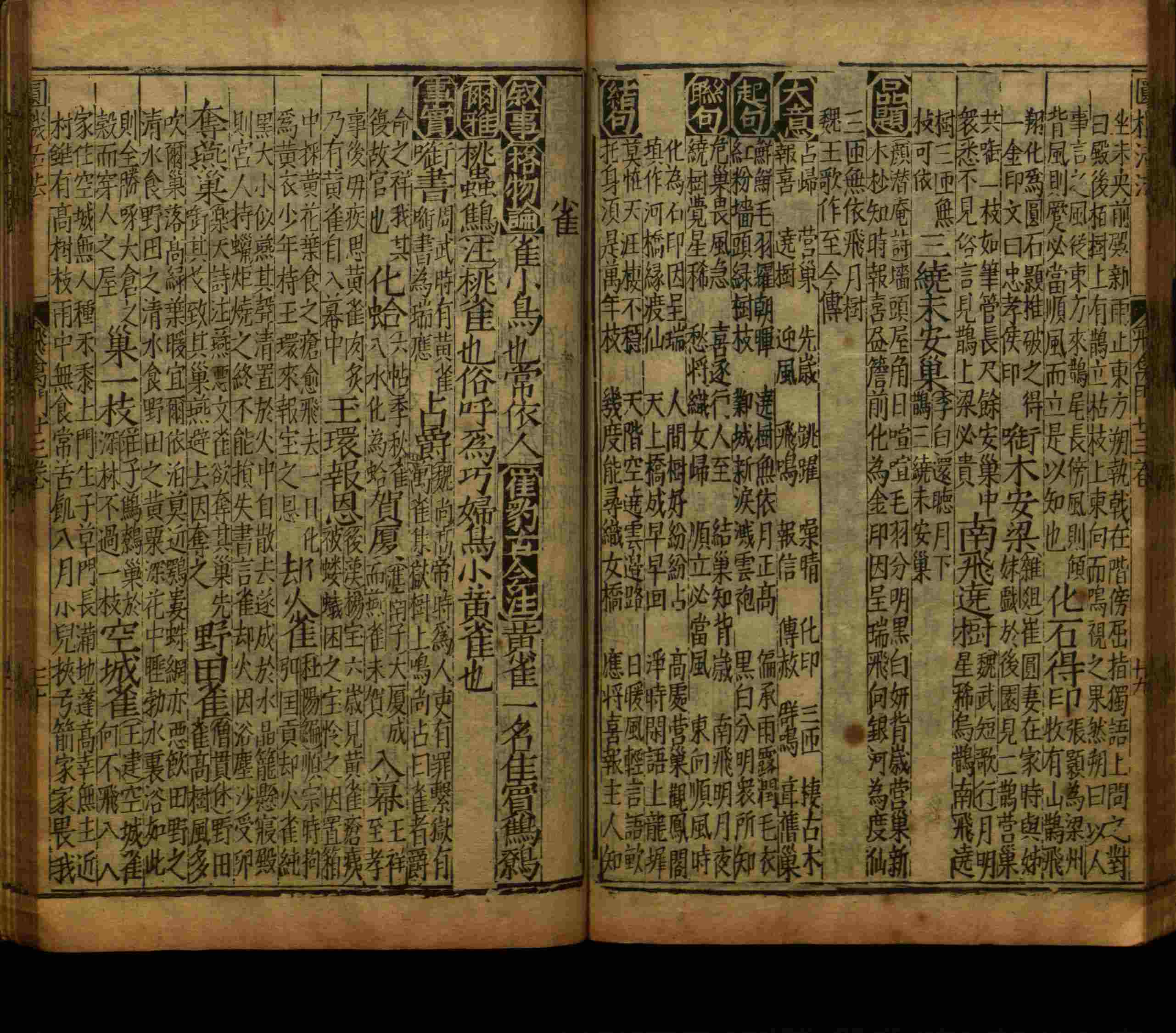 语文老师推荐的语文字帖电子版九年级是什么字帖啊
