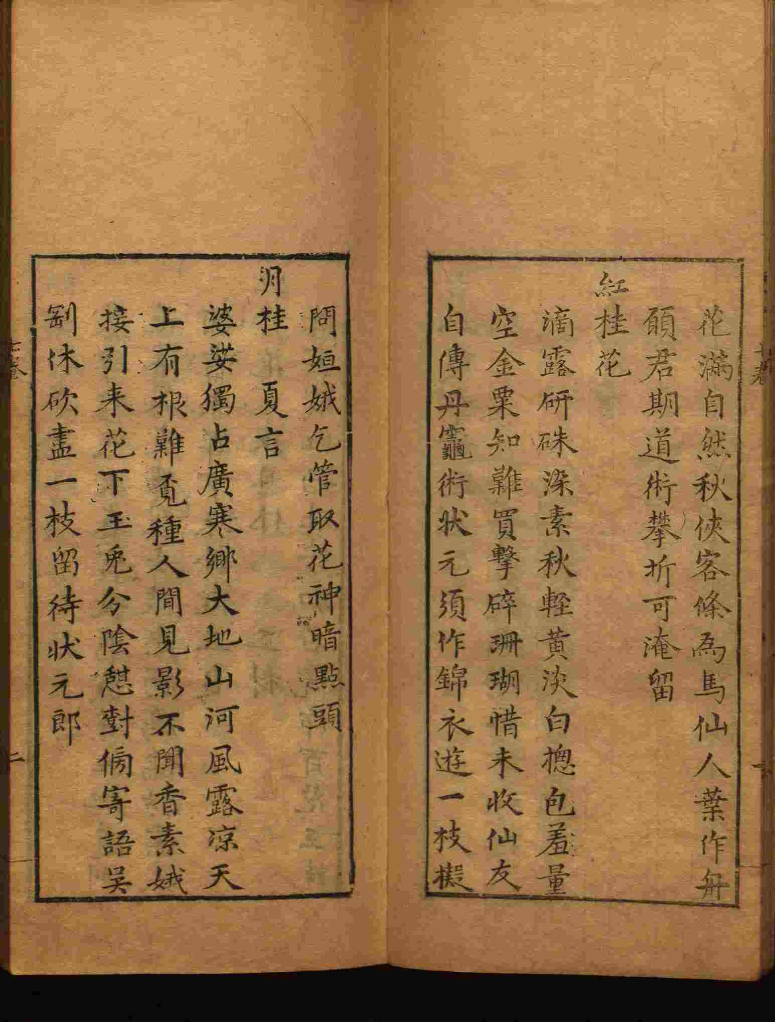 语文老师提醒的一年级练字字帖电子版可打印是什么字帖啊