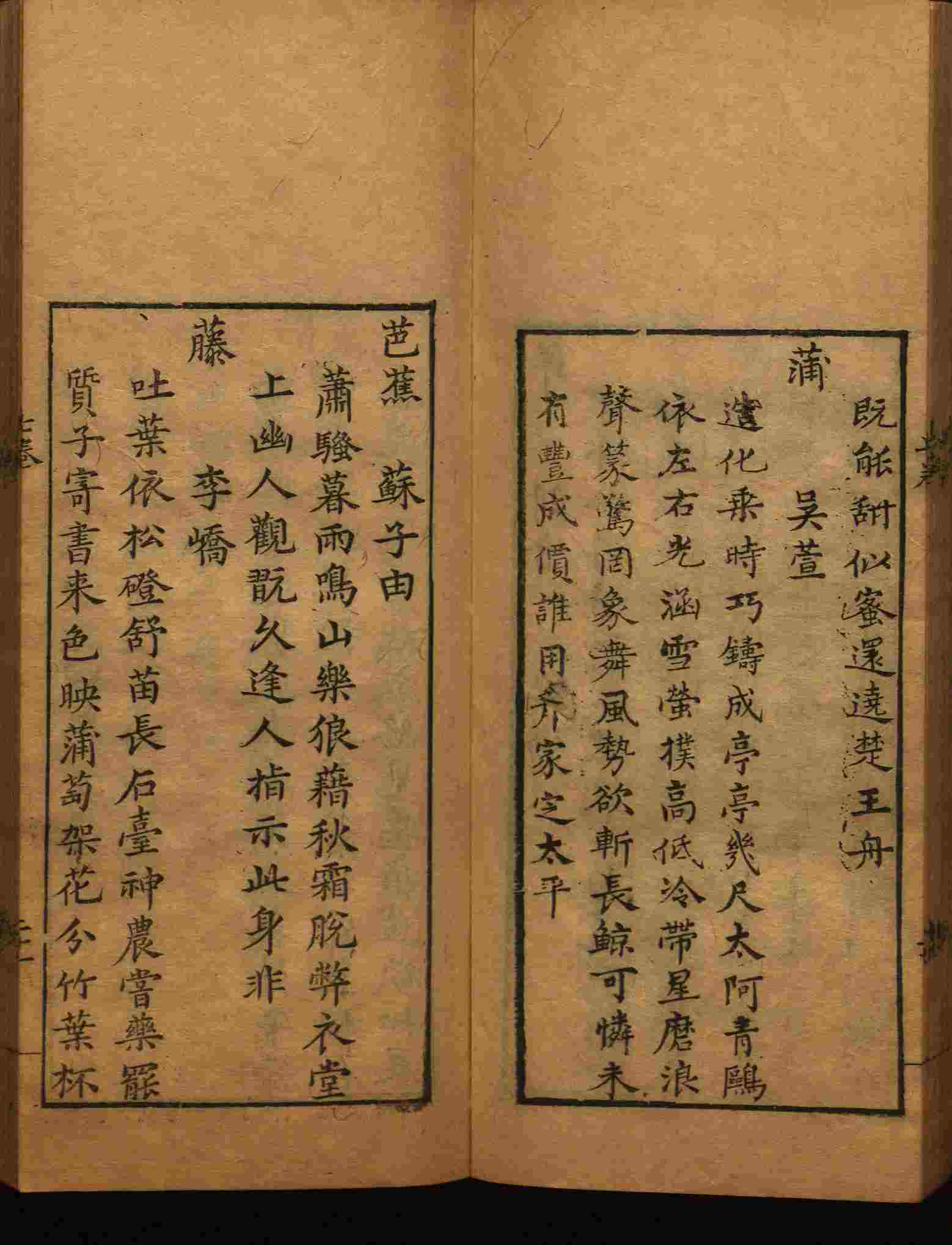 语文老师提醒的一年级练字字帖电子版可打印是什么字帖啊