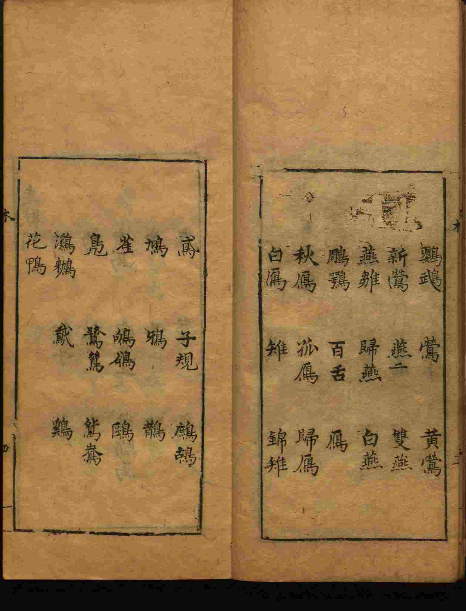 小学语文老师在微信群讲的小学二年级上册写字练字帖是什么字帖啊