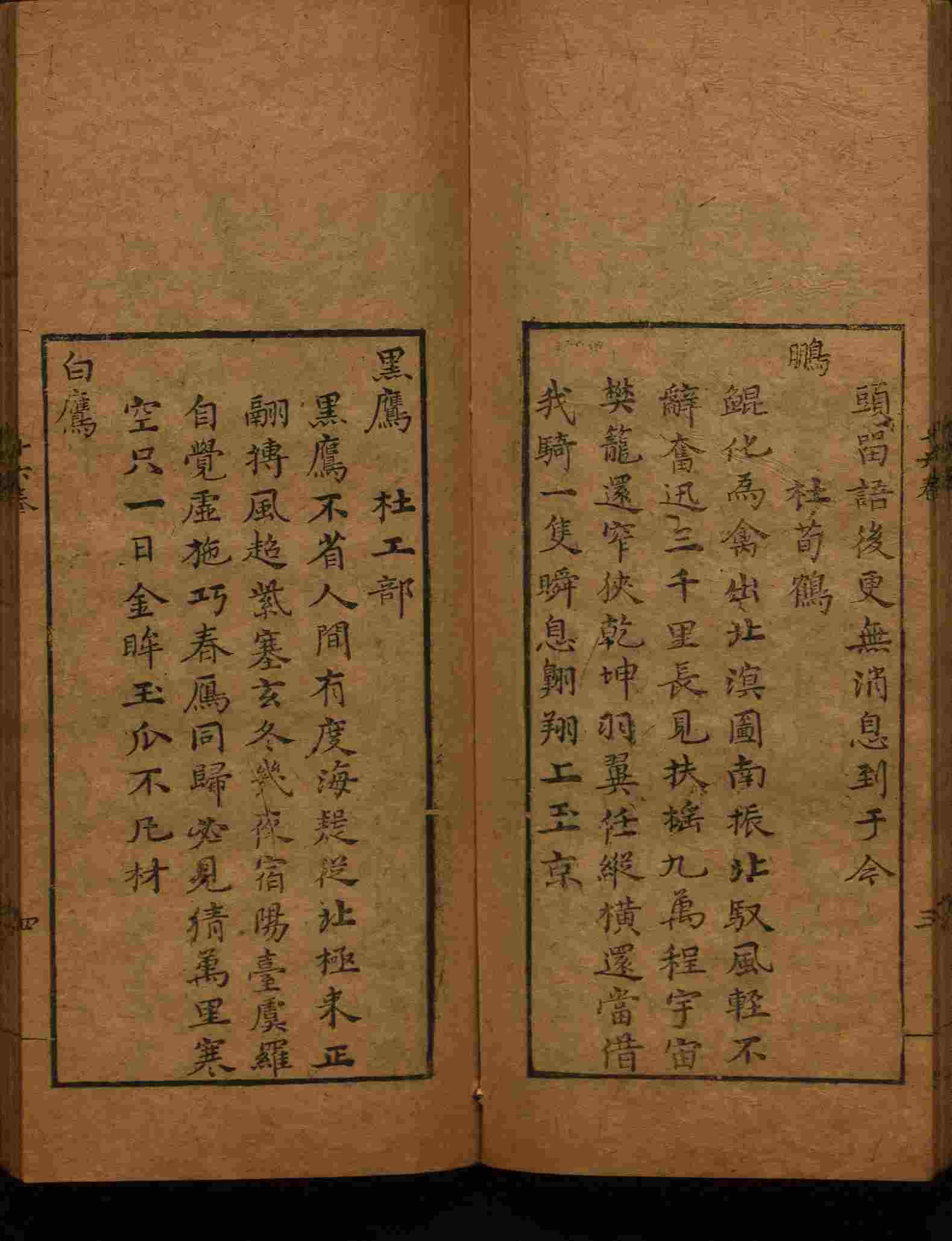 语文老师在微信群说的小学语文字帖百度网盘是什么字帖啊