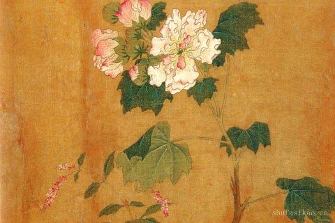 花卉写生图册-11-黄居寀