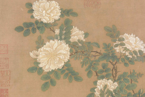 白蔷薇图页-马远