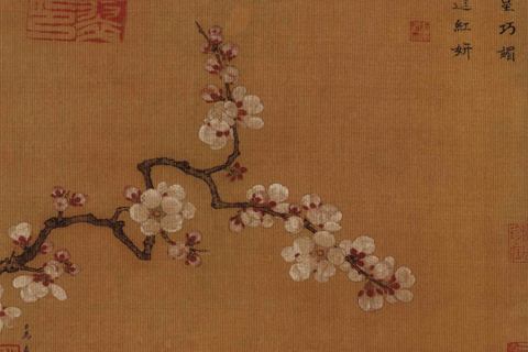 倚云仙杏图页-马远