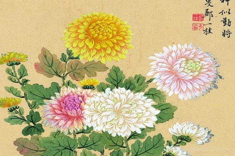 花卉八开-05- 邹一桂