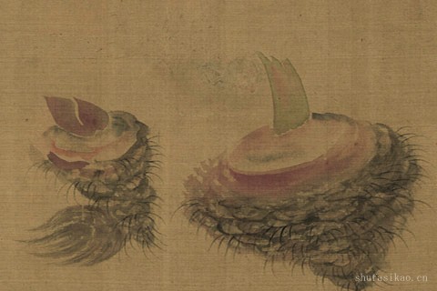 瓜果册页-13-恽寿平