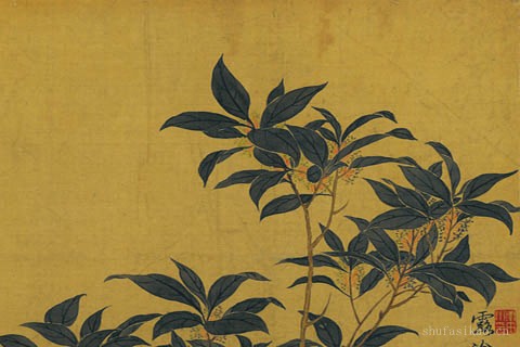 花卉十开-03-恽寿平