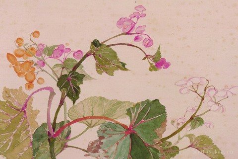 花卉山水合册-04-恽寿平 王翚